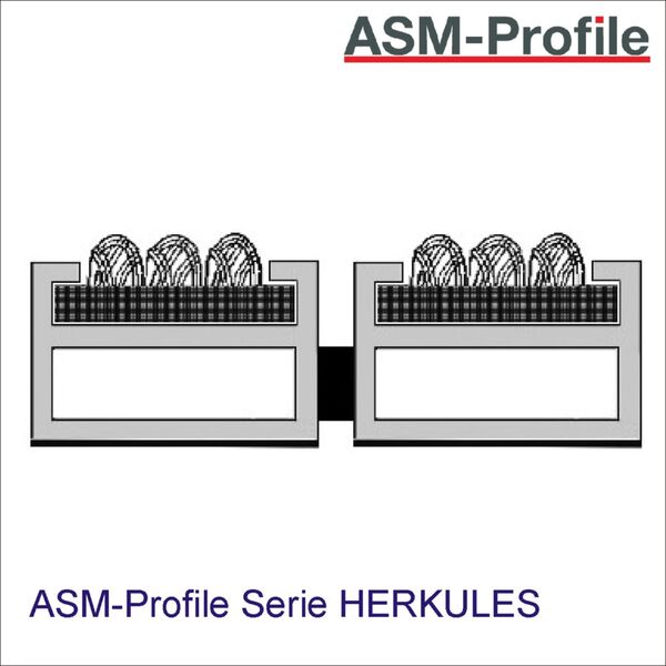 Eingangsmattensystem HERKULES