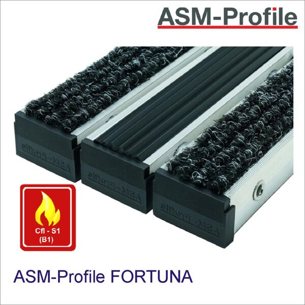 Eingangsmatte FORTUNA