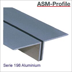 Titel Bild Dehnfugenprofil 198