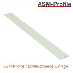 neuchleuchtende_Einlage