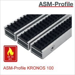 Eingangsmatte Kronos 100